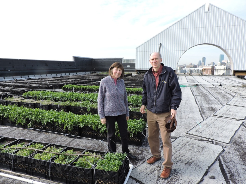 RooftopGarden2