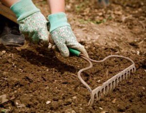 raking-soil